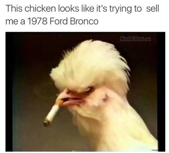 05af4f3d86e062a577edf6f78355022f.jpeg