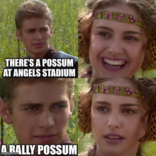1000000549.jpg