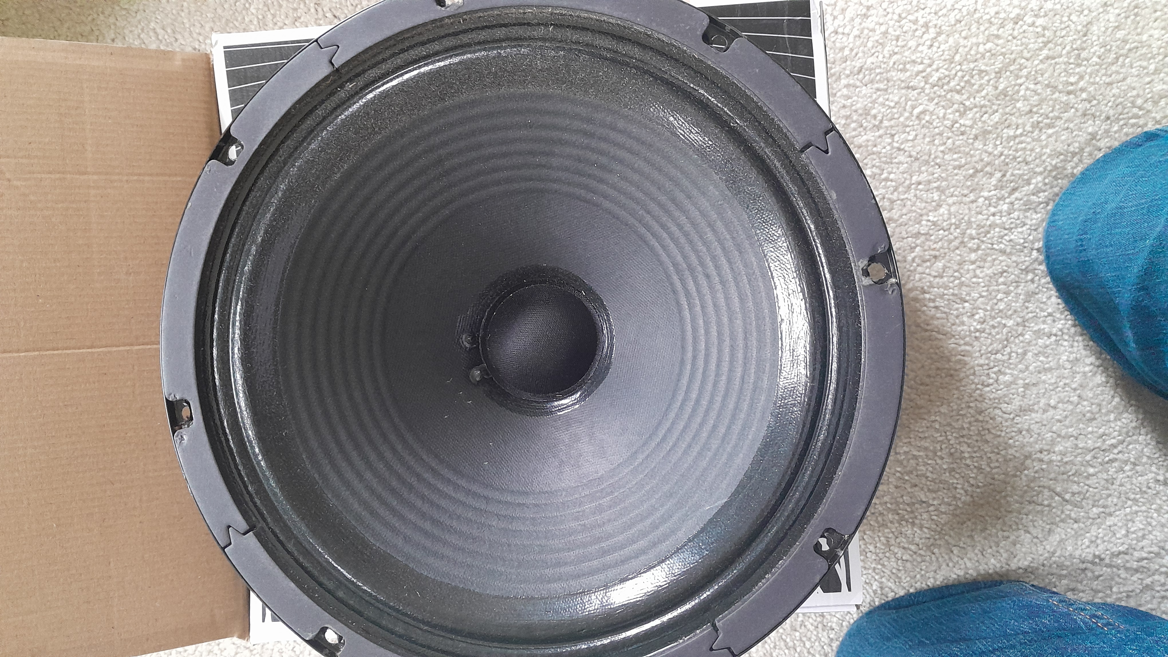 1000014402.jpg