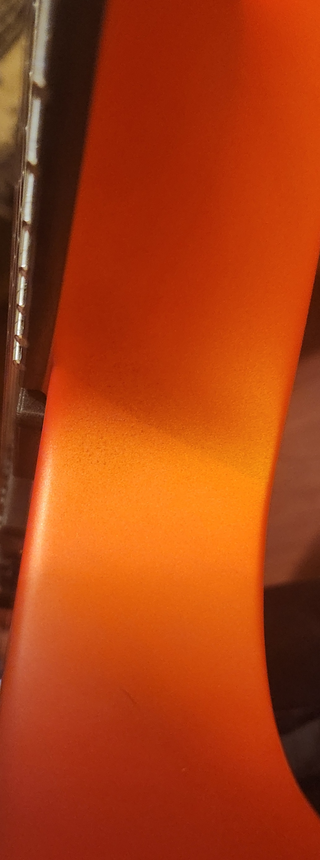 1000019586.jpg