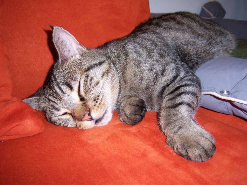 100_1712.jpg