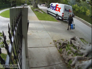 1325192017_fedex_guy_throws_computer_monitor_over_the_fence.gif