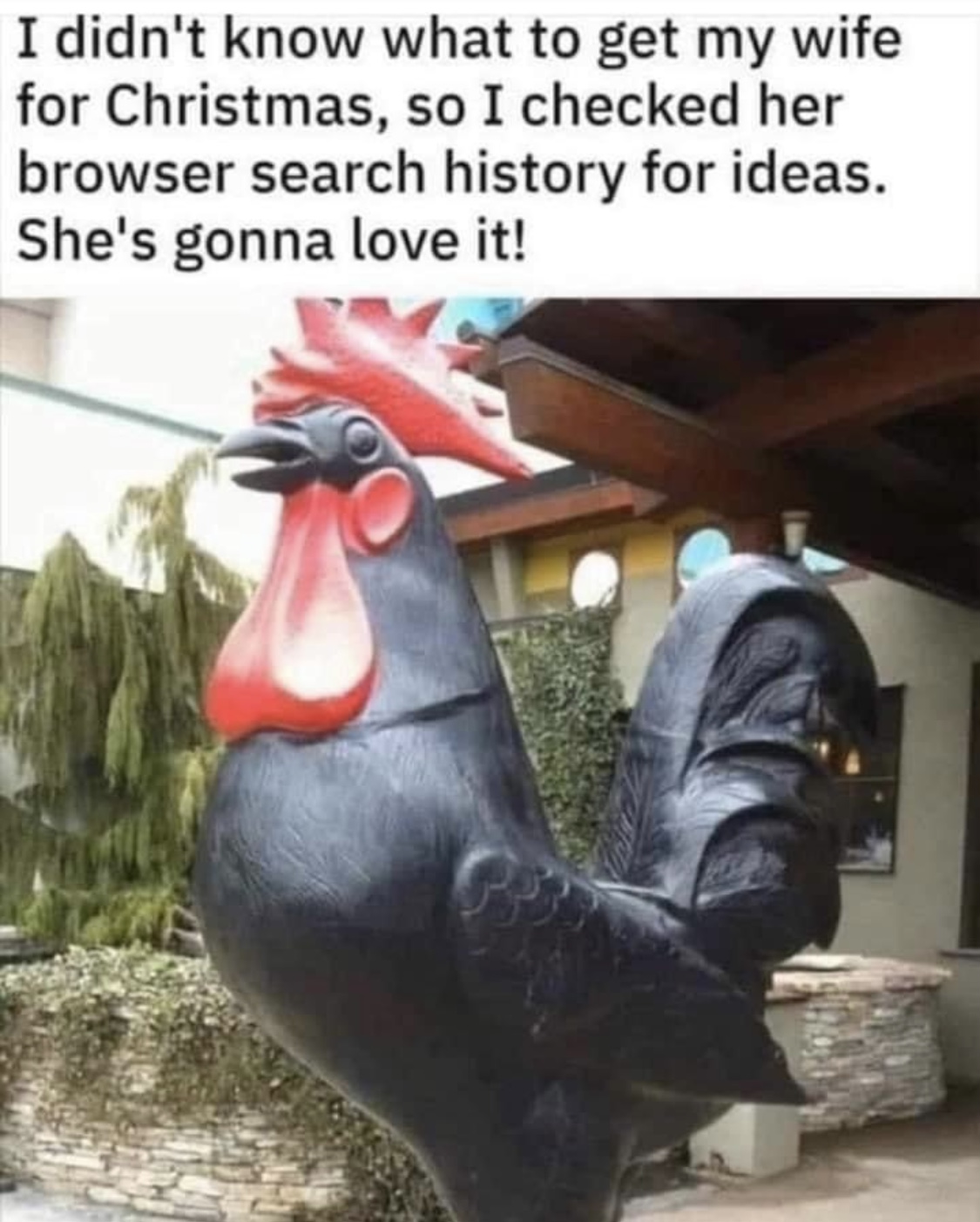 1640669556835.jpeg