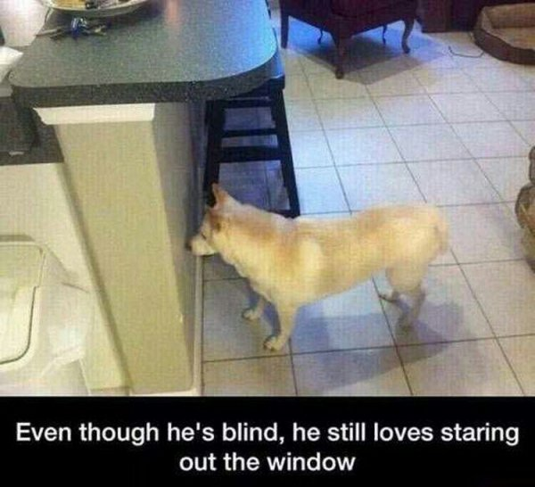 1661825458777.png