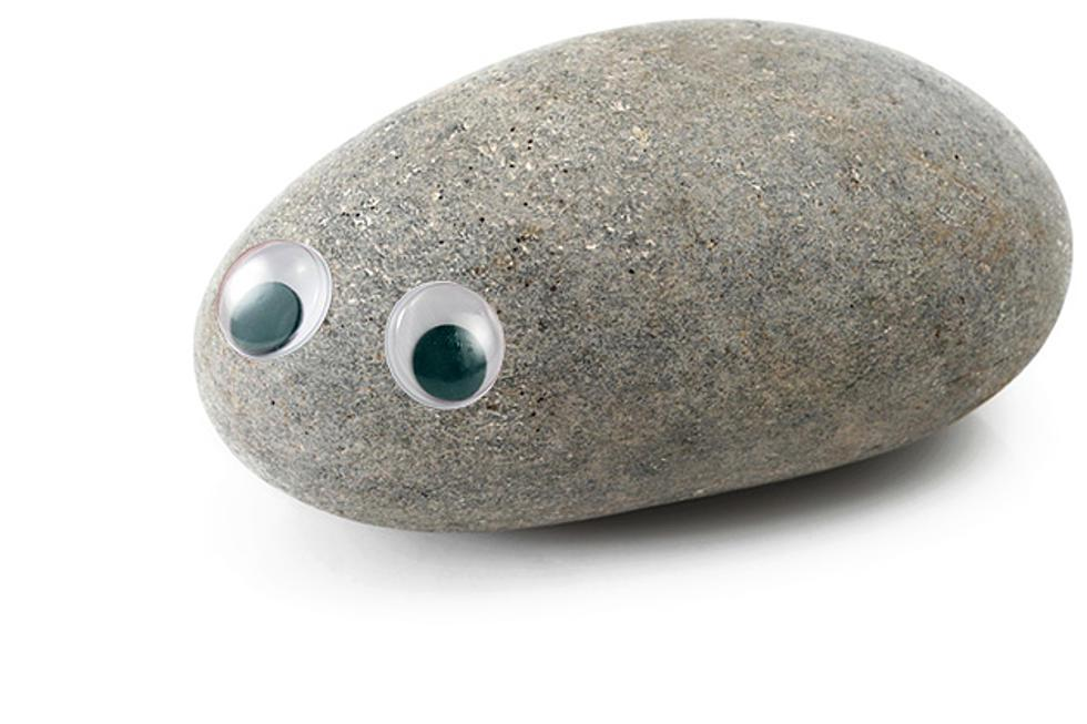 1669146772710.png