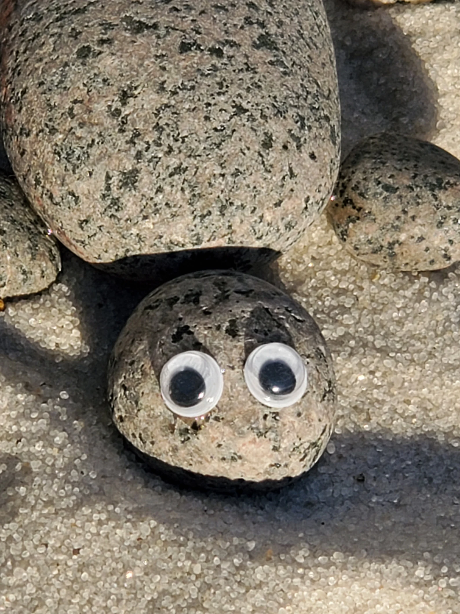 1669148763188.png