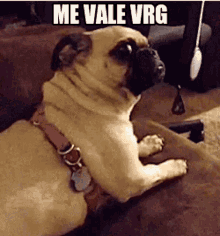 1685470719333.gif