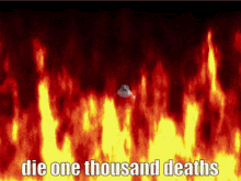 1686593539195.gif