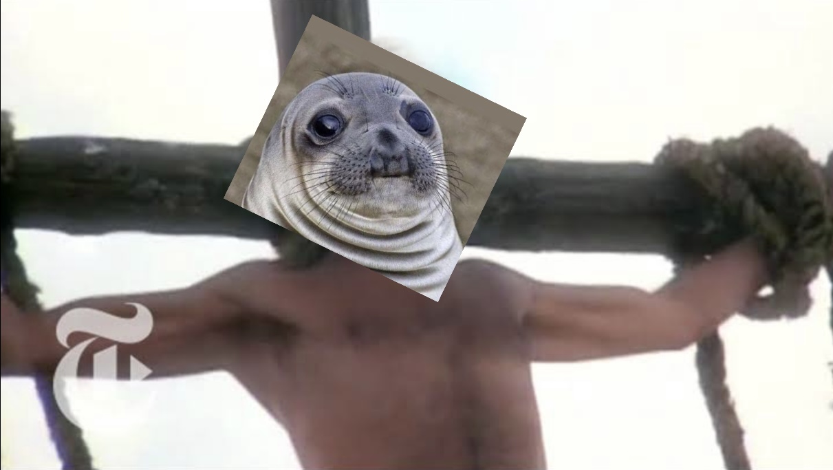 1686669318265.jpeg