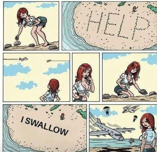 1687302579744.png