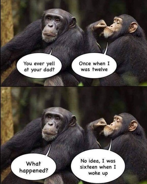 1687539726530.png