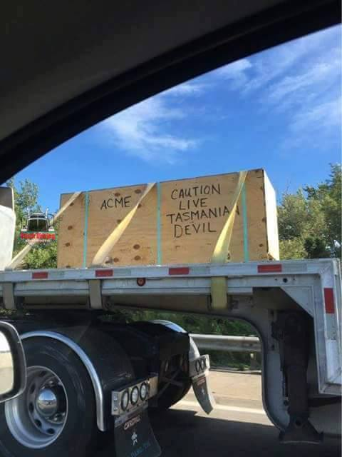 1687655986061.png