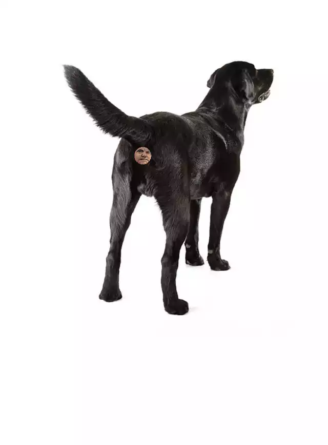 1688479120479.png