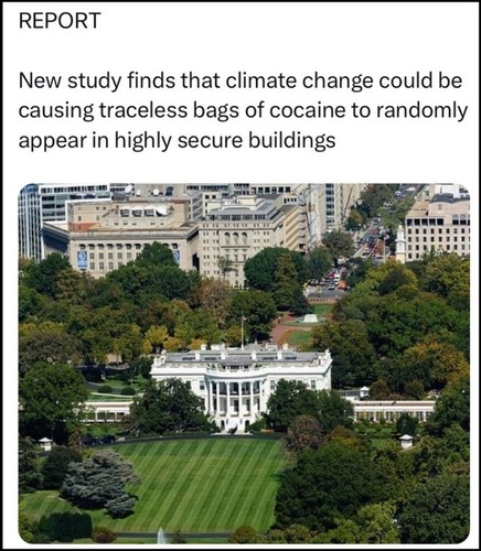 1689704346155.png