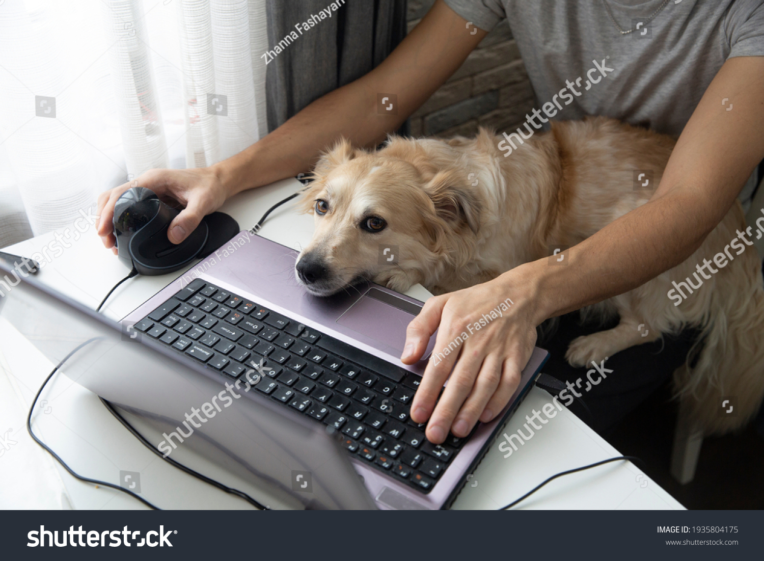 1690114856586.png