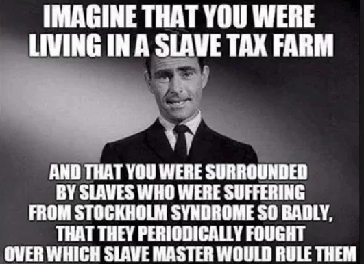 1691615240349.png