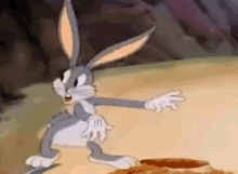 1691630587311.gif