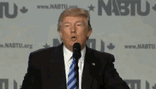 1691966395232.gif