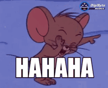 1693182641638.gif