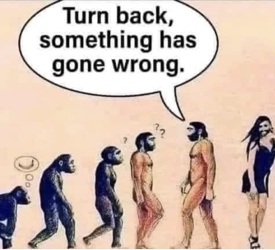 1694405268663.png