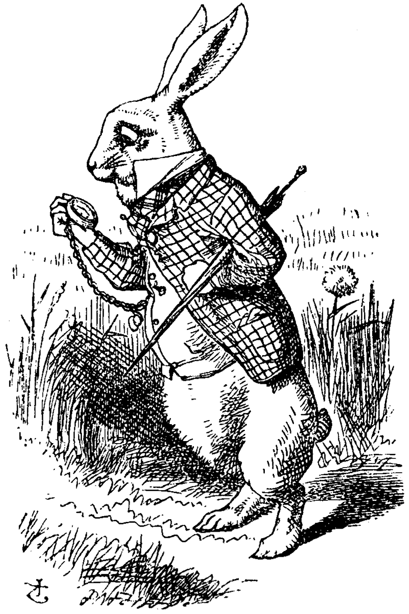 1706059421222.png