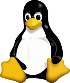 1716353370660.png
