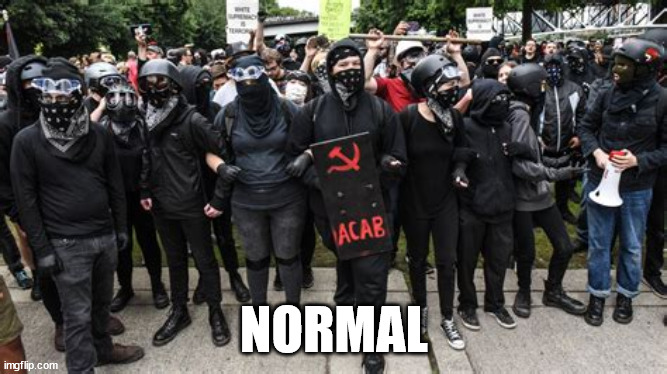 1722495105306.jpeg
