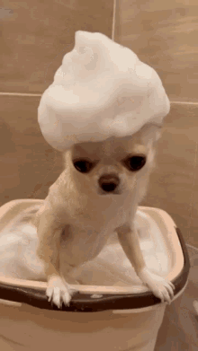1726517621059.gif