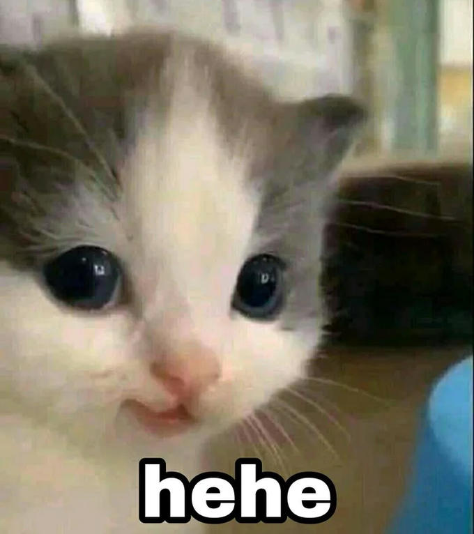 1742774501203.png
