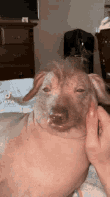 1745925734837.gif