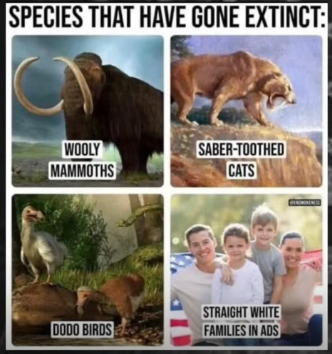 1746058458824.png