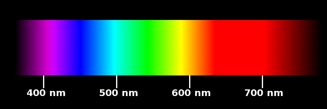 1747880444369.png