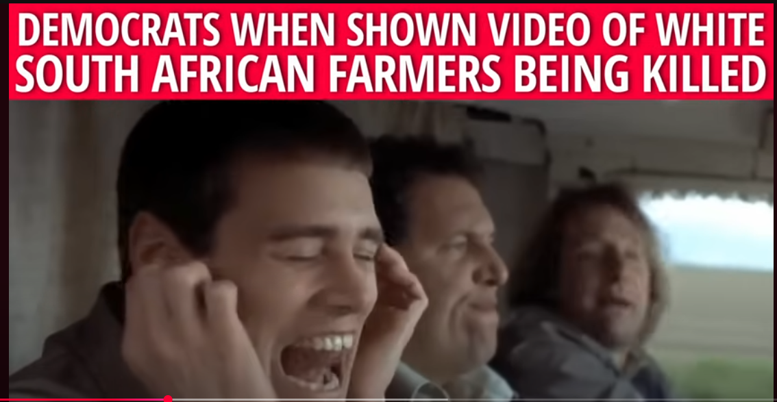 1747927886692.png