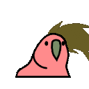 1748261762199.gif