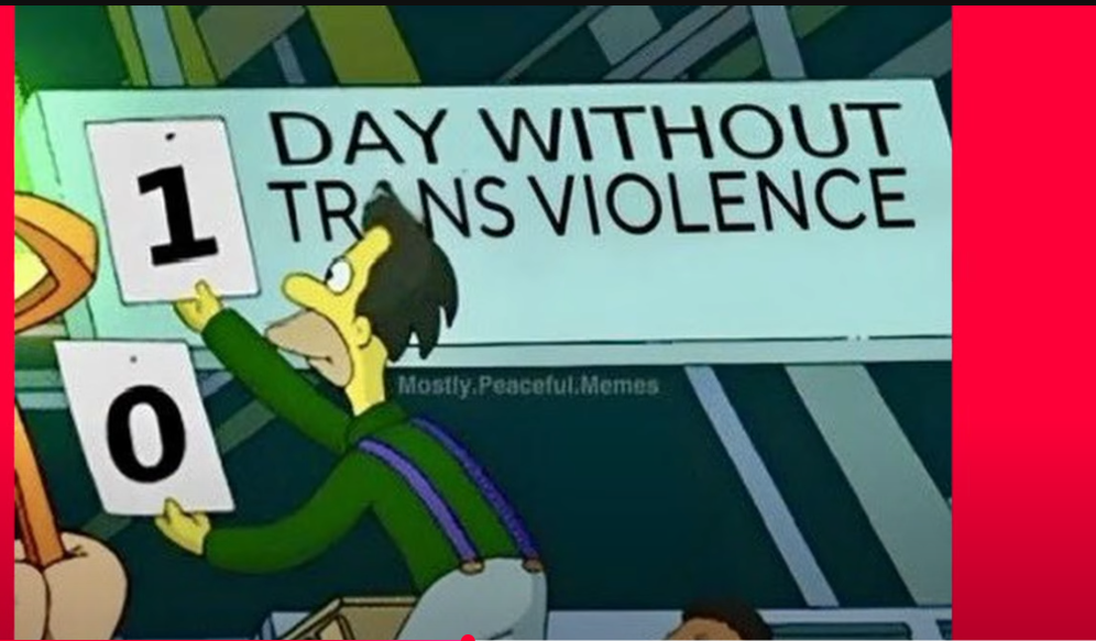 1748361201926.png