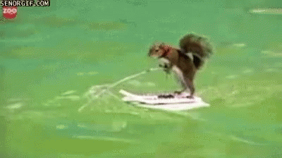 1748646792259.gif