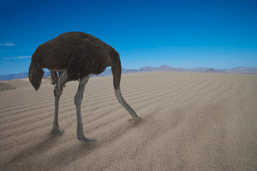 1749820144735.png