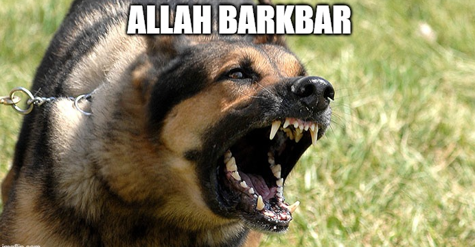 1750187515007.png