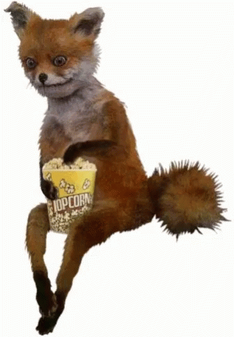 1750646363565.gif