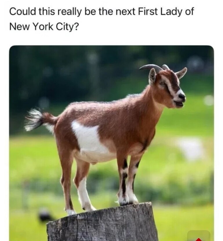 1751154615115.jpeg