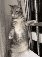1751460805458265.gif