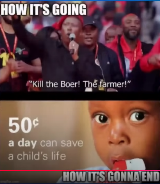 1751487194470.png