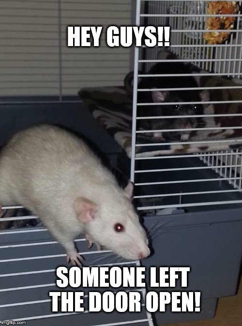 1751893516467.png