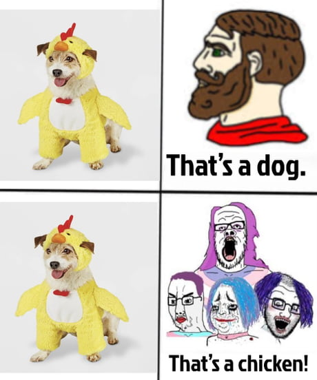 1751984415904.png