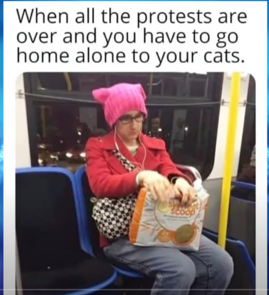1752080866380.png