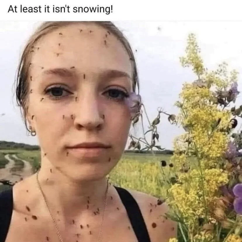 1753206541054.png