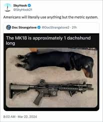 1753449909304.jpeg