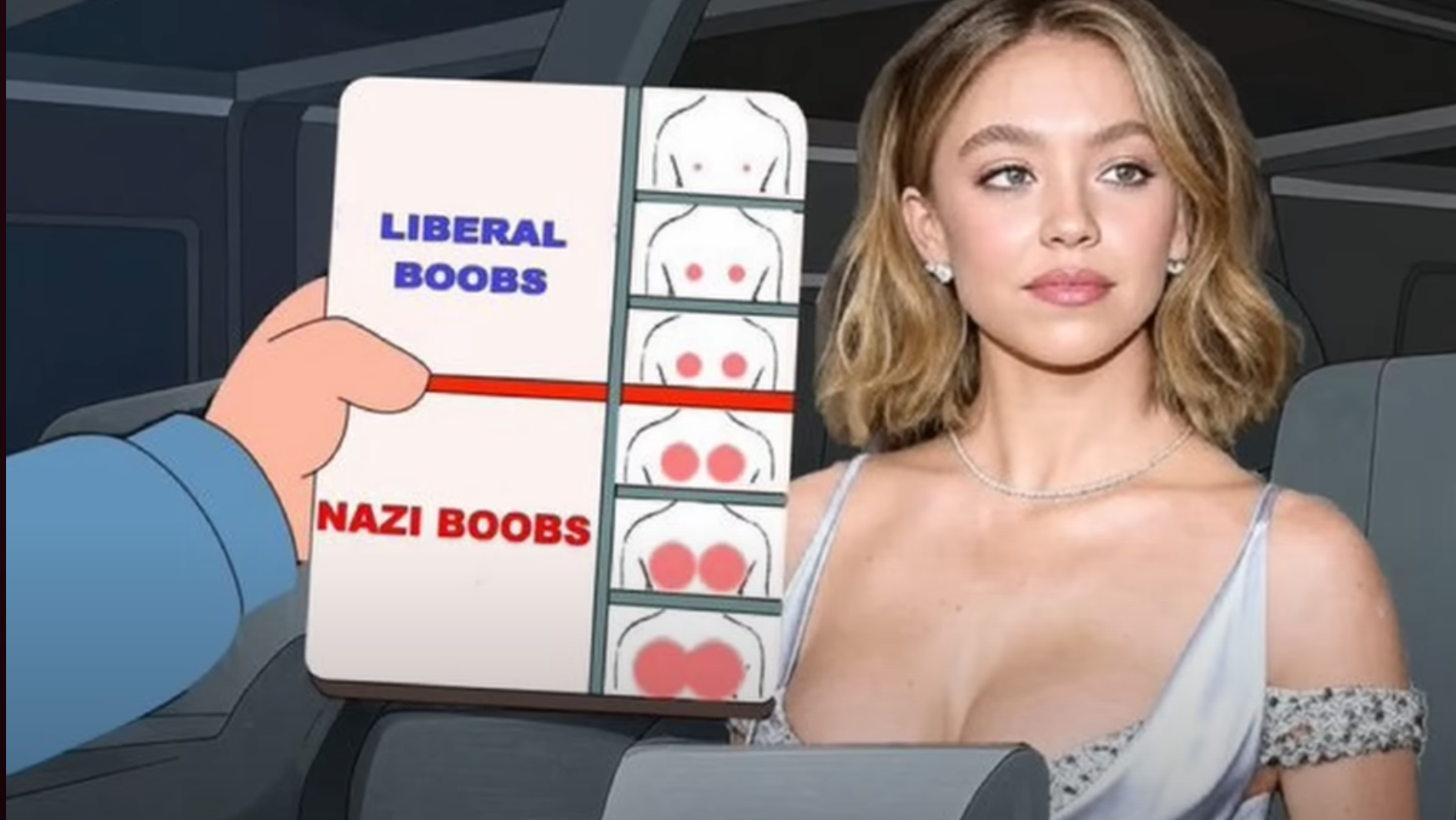 1754157029458.png