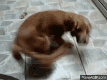 1755381419283.gif