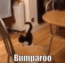 1756024250377.gif